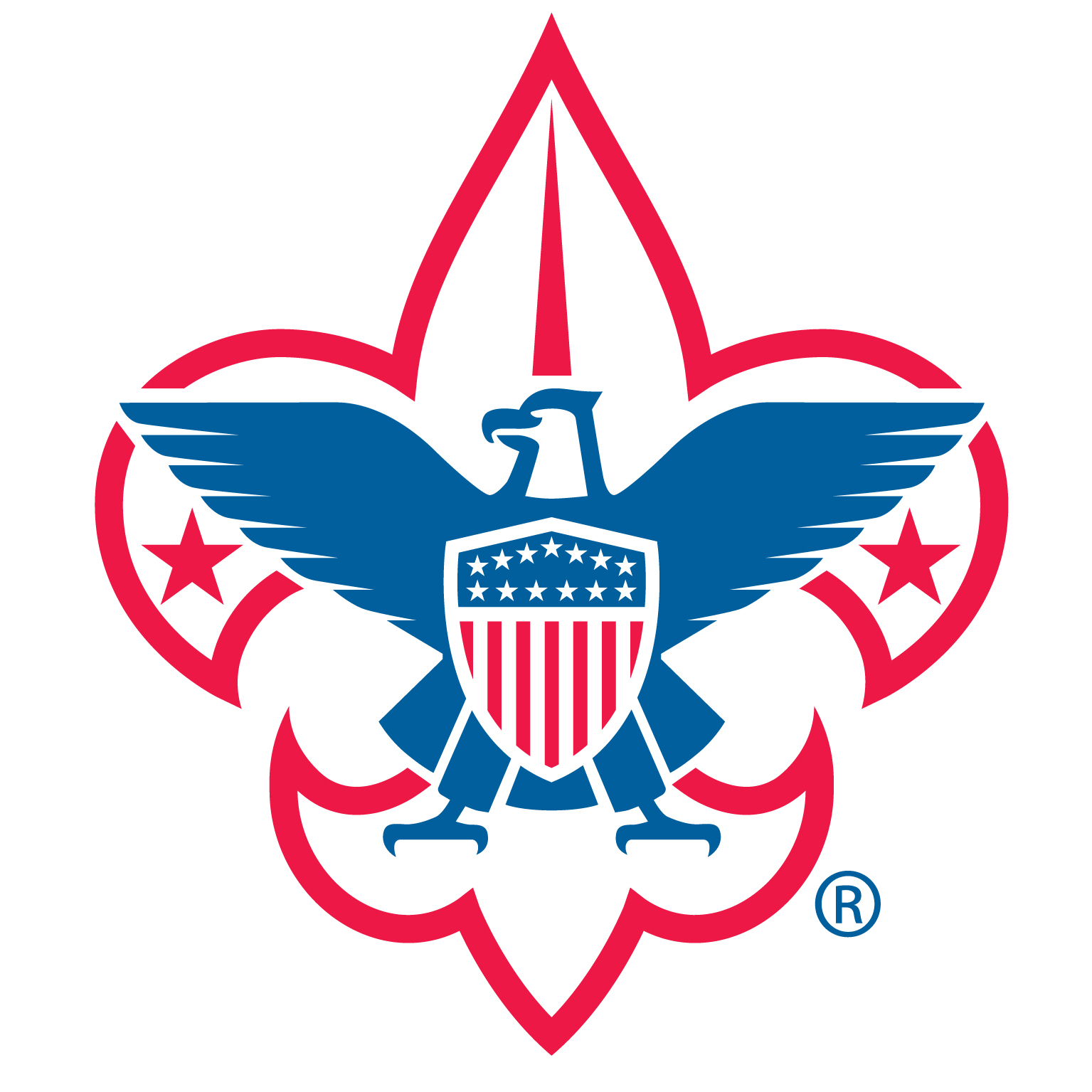 BSA Logo - Fleur de lis